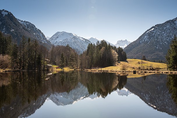 Moorweiher in Oberstdorf, Berge und Bäume spiegeln sich im Wasser
