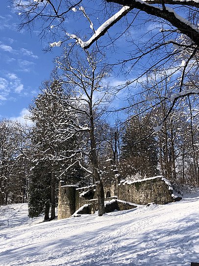 Schnee auf Bäumen und Ruine im Füssener Baumgarten