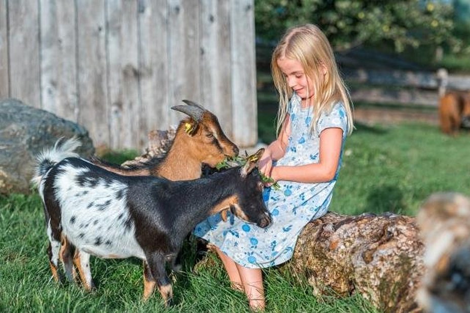 Kind mit Ziegen Kind mit Ziegen