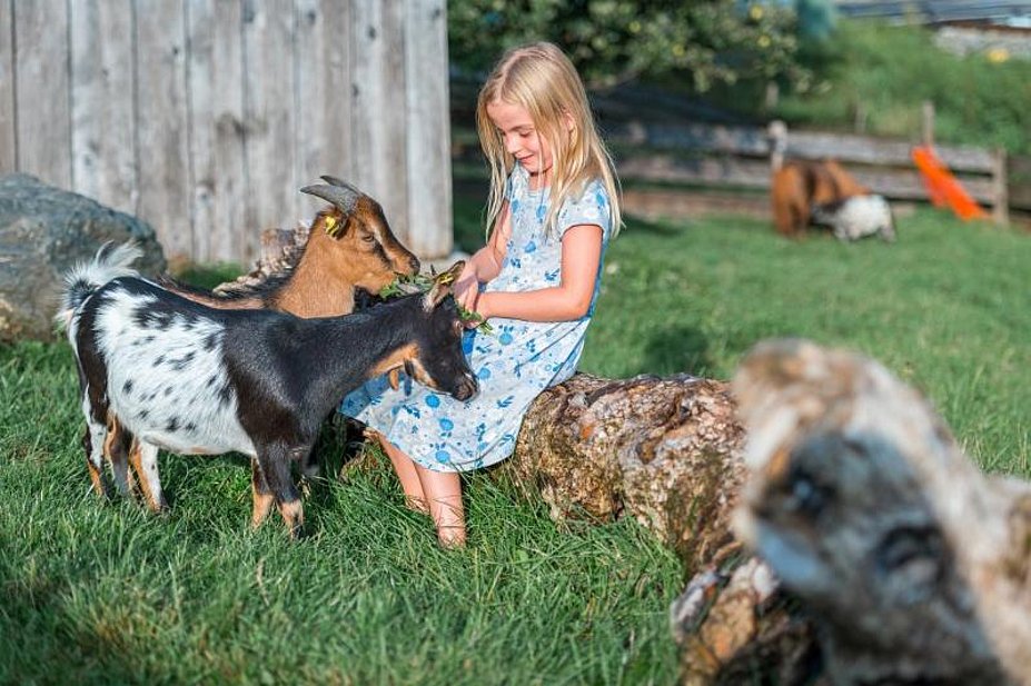 Kind mit Ziegen