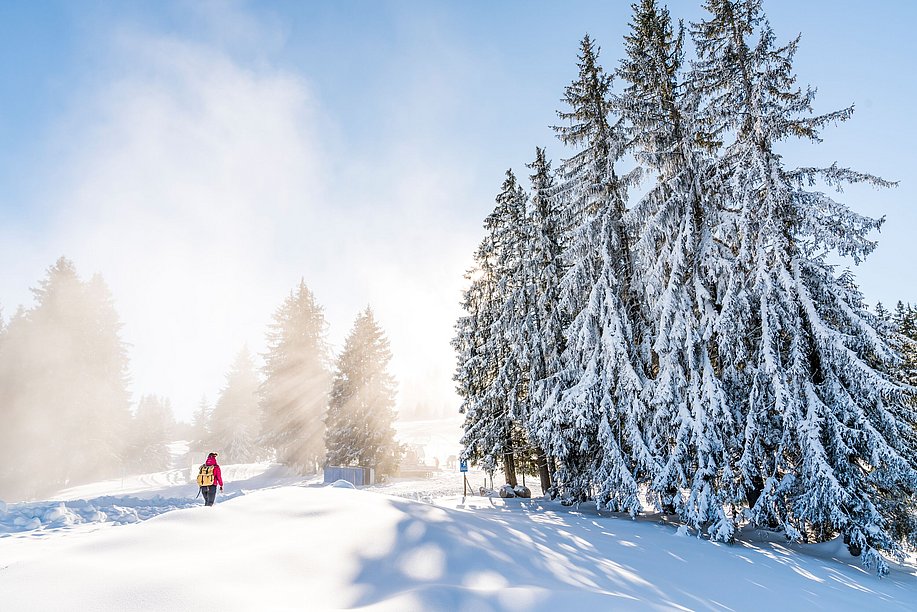 Winterwanderer vor verschneiten Bäumen auf Winterwanderweg am Ofterschwanger Horn, die Sonne scheint