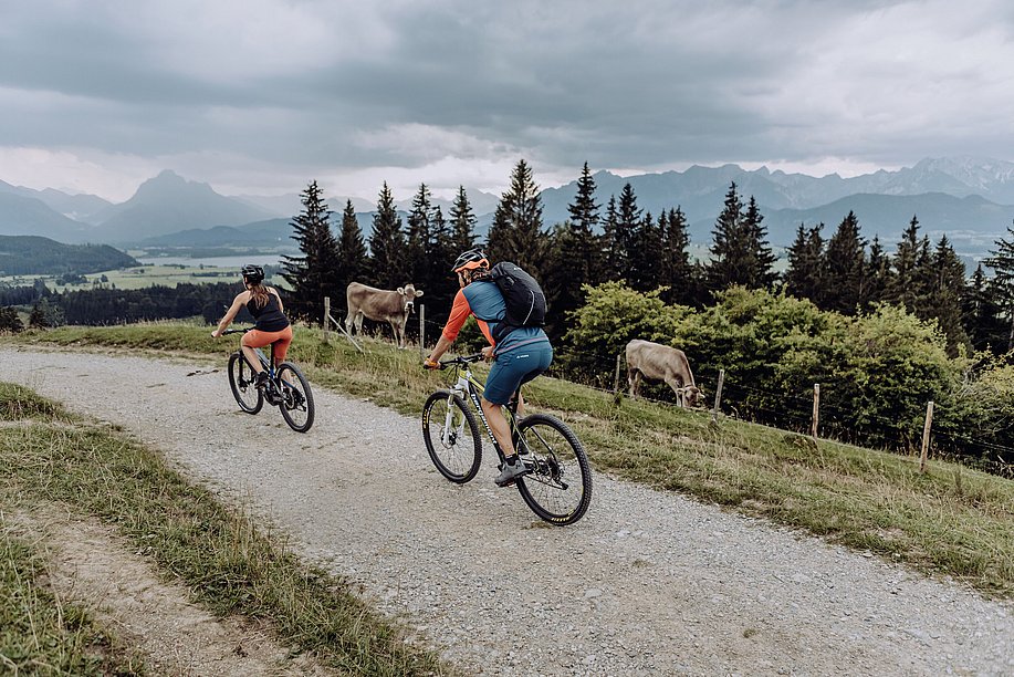 Mountainbike am Senkele bei Seeg