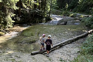 Zwei Kinder balancieren auf einem Baumstamm über einen Fluss