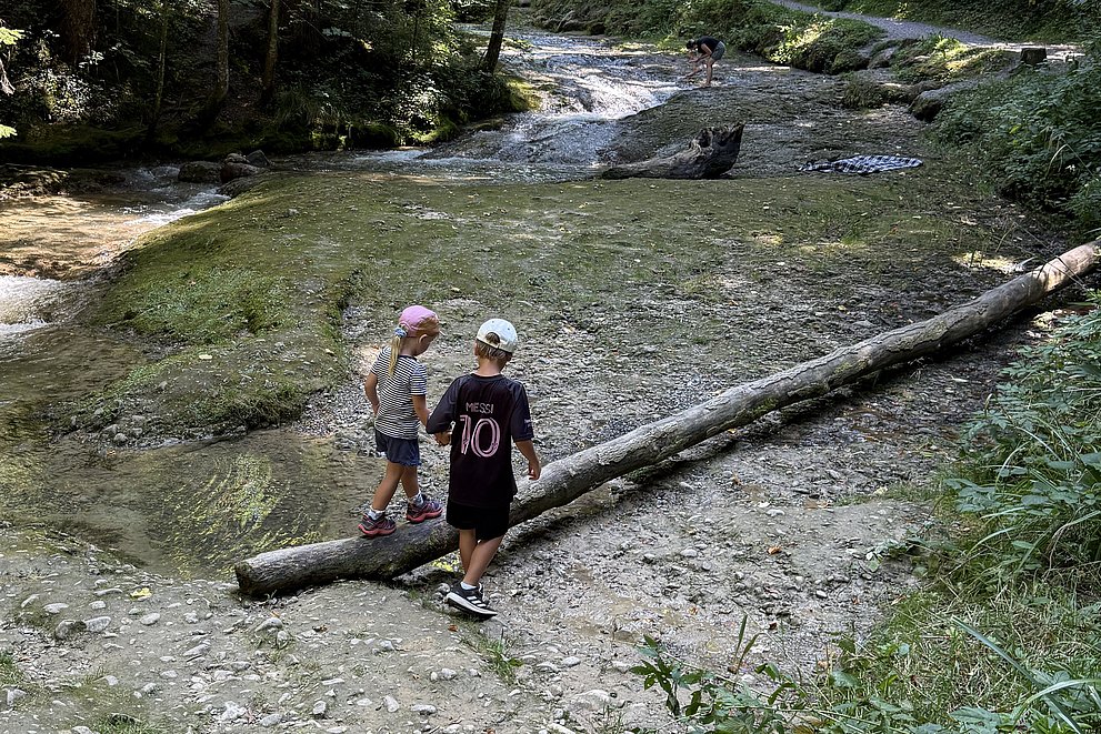 Zwei Kinder balancieren auf einem Baumstamm über einen Fluss