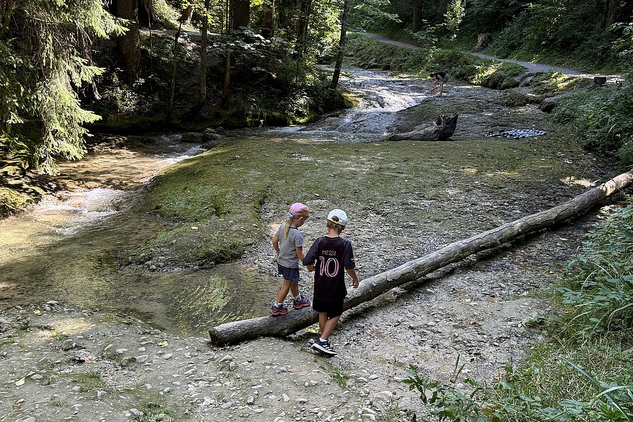 Zwei Kinder balancieren auf einem Baumstamm über einen Fluss