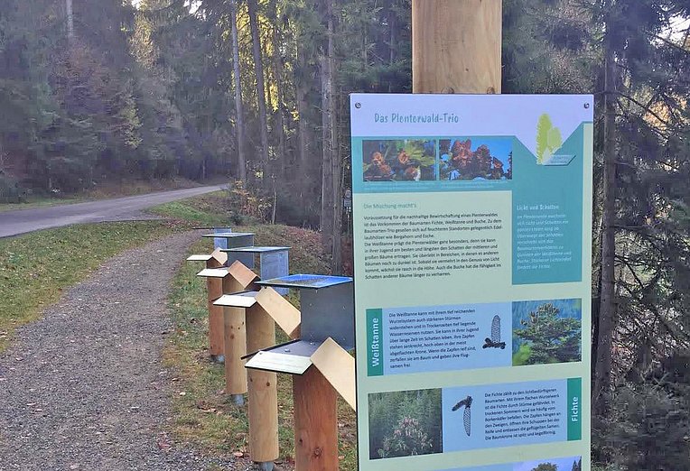 Infotafel am Plenterwaldweg zum Plenterwald-Trio