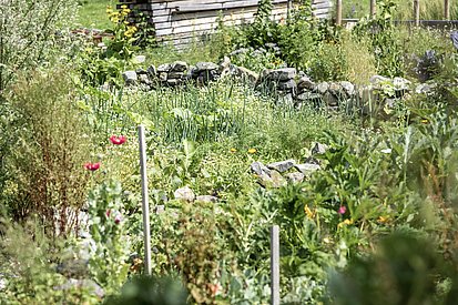 Permakultur-Garten mit Gemüse, Kräutern und Blumen