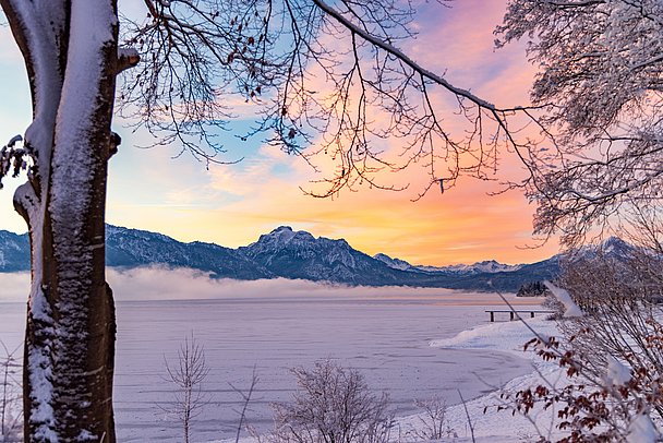 Winterlicher Forggensee mit farbenfrohem Himmel