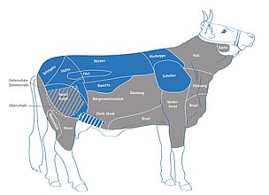 Schaubild alle Teile einer Kuh - from nose to tail