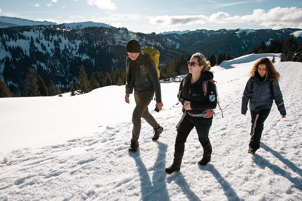 Wald im Winter: ein großartiger Austausch – Tour in die Natur des Allgäus mit einer Rangerin vom Alpinium 