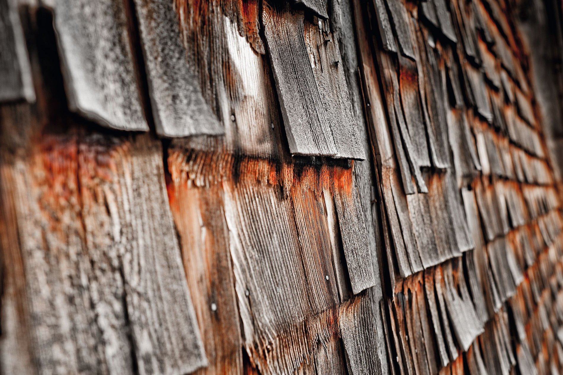 Ofterschwanger Horn Ofterschwanger Horn