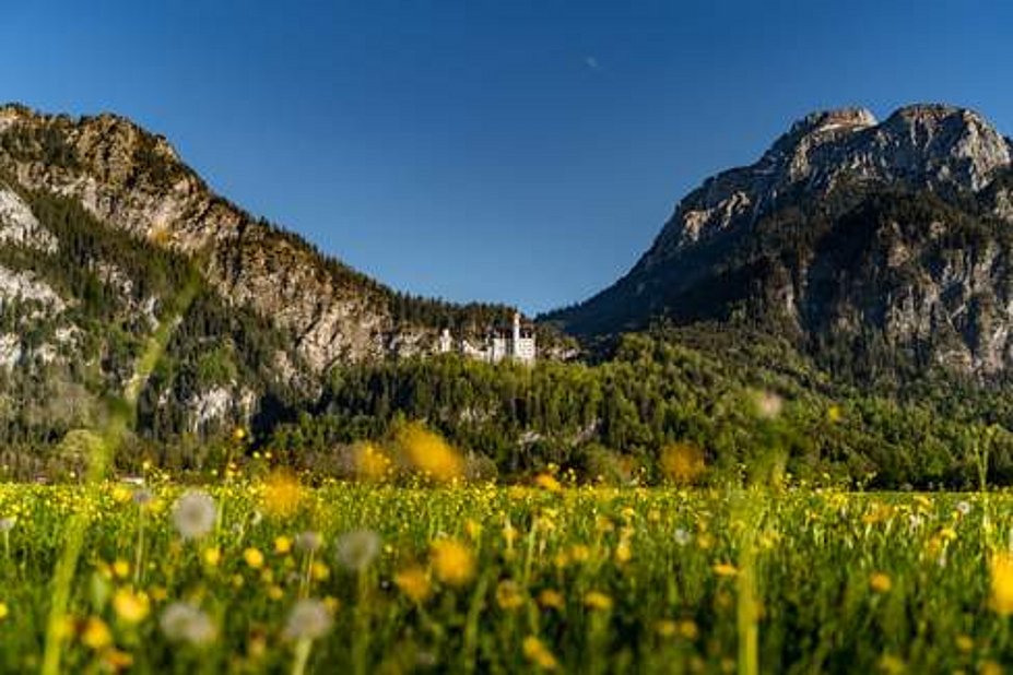 Füssen - Schloss Neuschwanstein