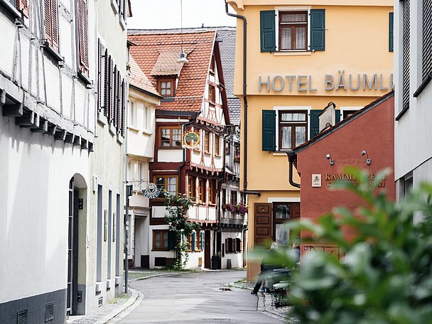 Ulmer Altstadt - Fischer- und Gerberviertel