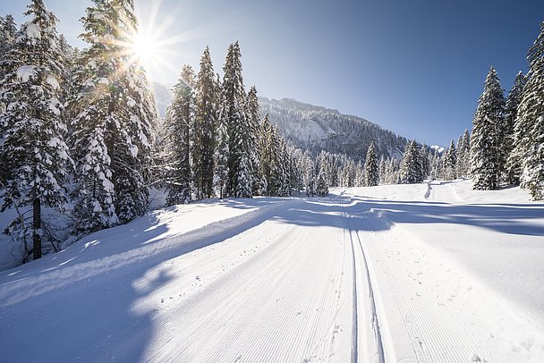 Loipe im Rohrmoostal unterhalb der Gottesackerwände in der Sonne