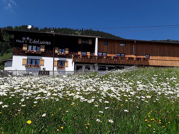 Haus Edelweiss