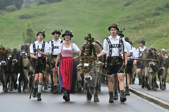Viehscheid in Balderschwang