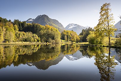 Moorweiher in Oberstdorf, Berge und Bäume spiegeln sich im Wasser