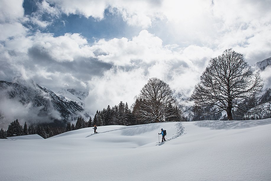Der Wald im Winter: Schneeschuhwanderung durch ein Bergtal bei Oberstdorf