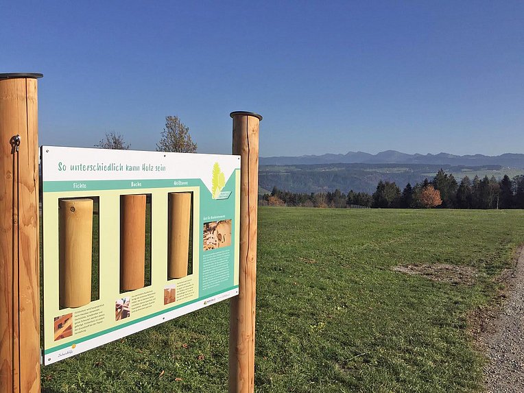 Infotafel am Plenterwaldweg zu den verschiedenen Holzarten