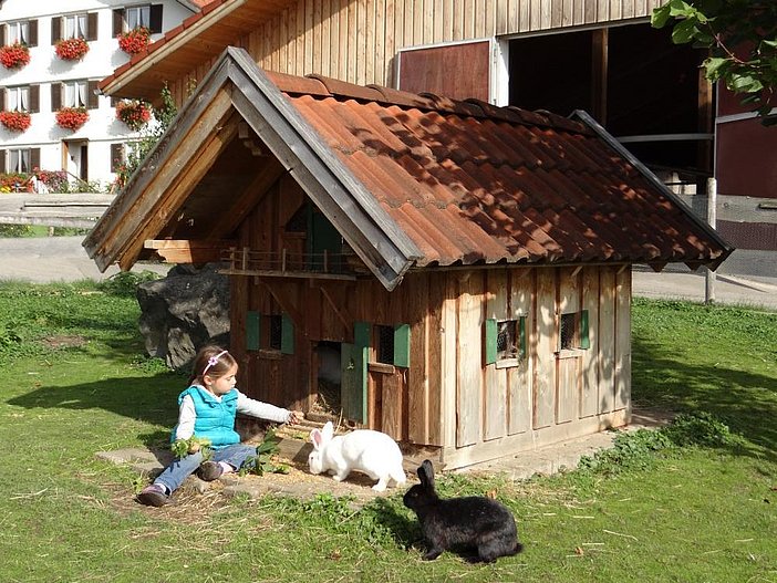 Hasenhaus