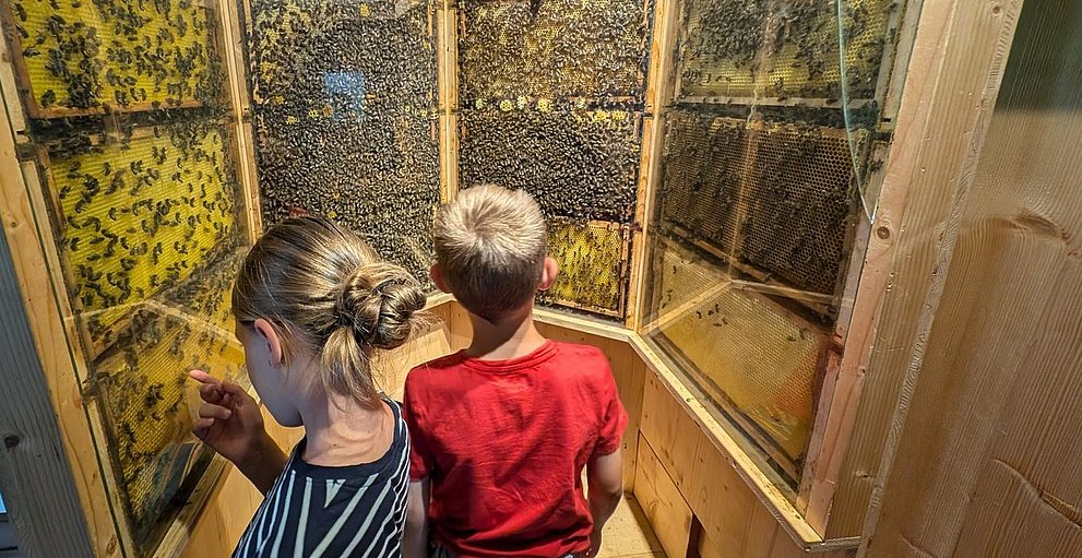 Zwei Kinder vor einem verglasten Bienenstock