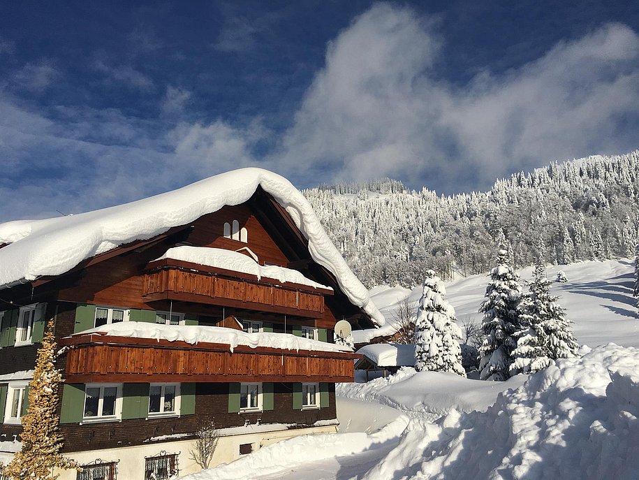 Haus Nußbaumer - Winterurlaub im Skigebiet