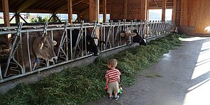Bei uns werden Ihre Kinder schnell zum Landwirt
