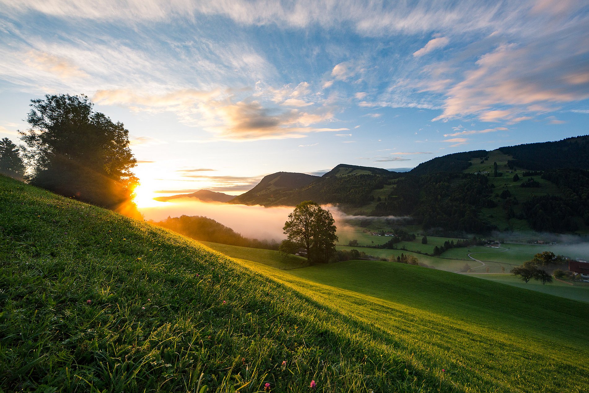 Morgenstimmung überm großen Alpsee