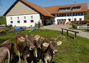 Ansicht Mühlenhof