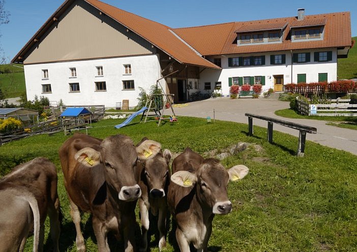 Ansicht Mühlenhof