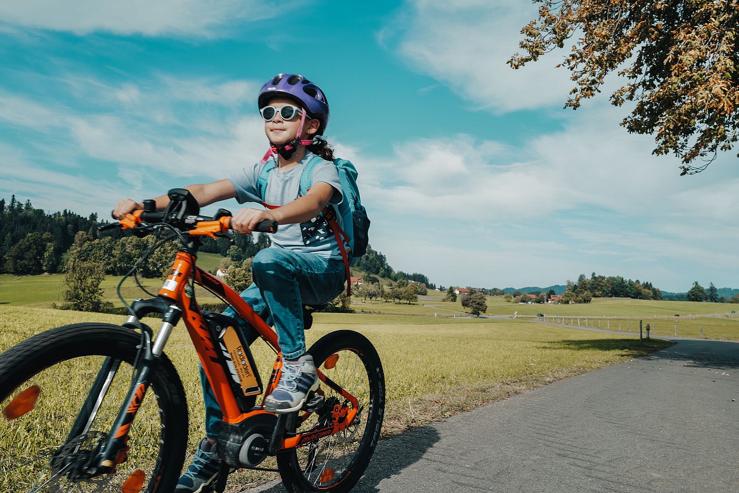 Kind fährt mit Fahrrad auf Weg zwischen grünen Wiesen