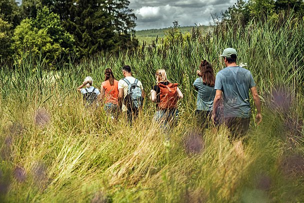 Wandergruppe im Wurzacher Ried