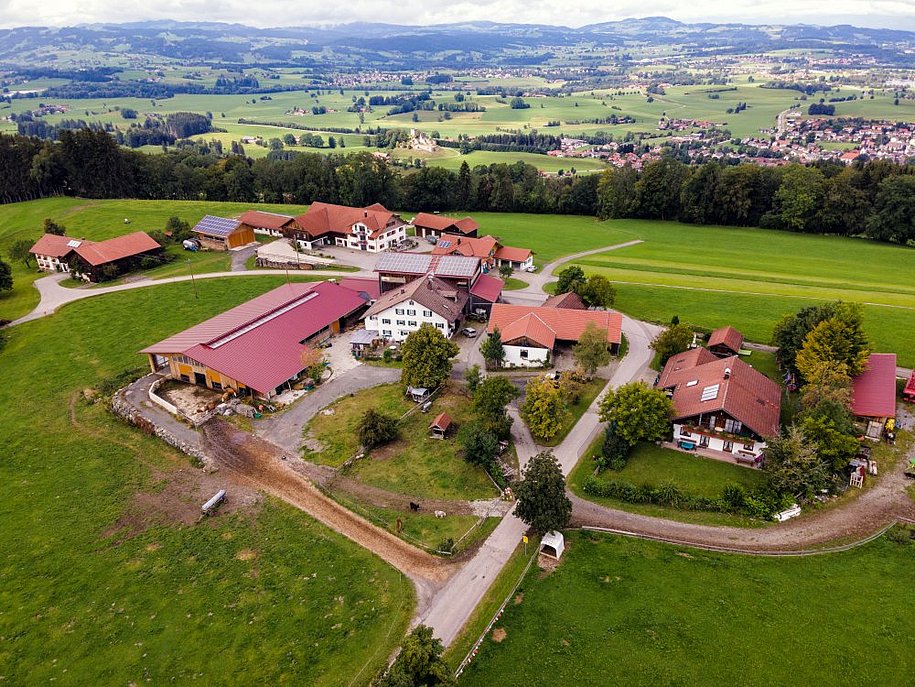 dji_0241