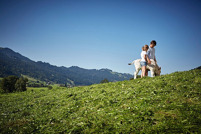 Kinder füttern Kälbchen auf Bauernhof im Allgäu