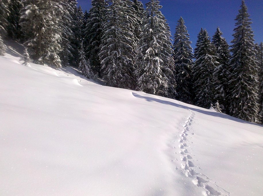 Ihre Wintertour im Alpenblick