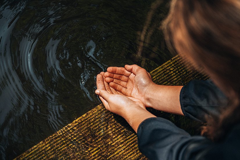Frau hält ihre Hände ins Wasser des Wurzacher Rieds
