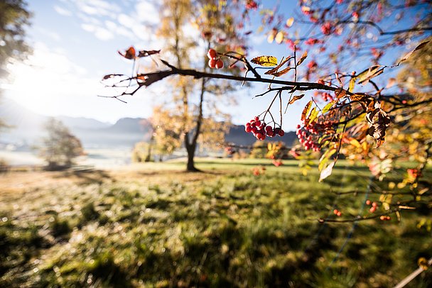 Magischer Ort Spöck, Obermaiselstein