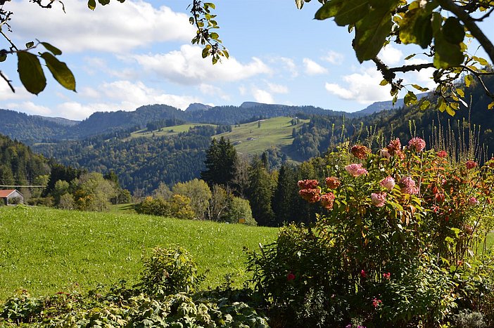 Ausblick vom Garten 30.09.