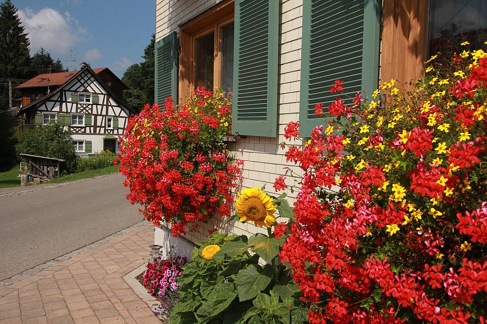 Blumen vor einem geschindelten Haus, im Hintergrund ein Fachwerkhaus