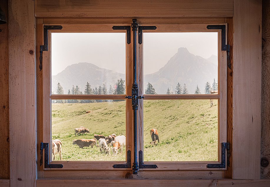 Blick durchs Fenster im Gasthof Fallmühle, draußen Wiese mit Kühen und Berge