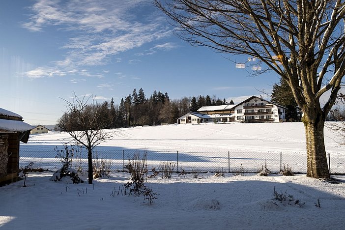 haus30
