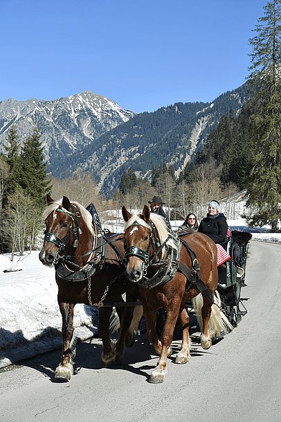 Kutsche von zwei Pferden gezogen im winterlichen Hintersteiner Tal