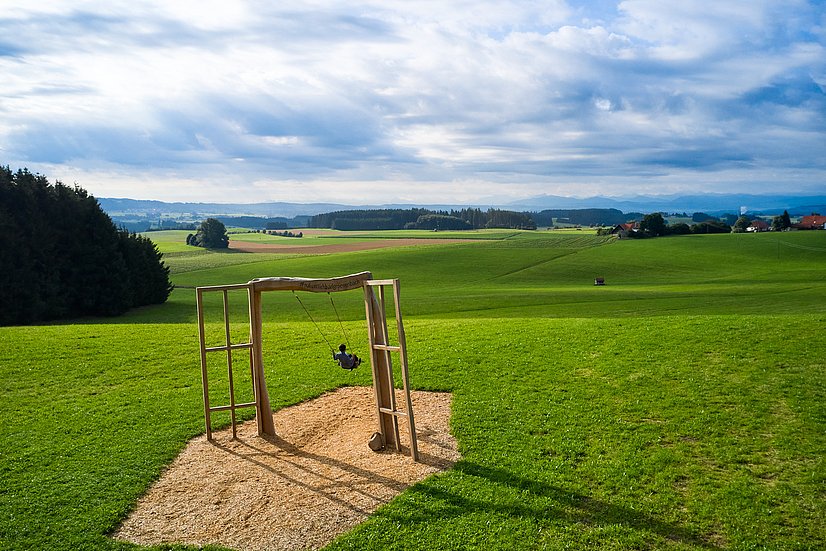 Große Schaukel auf einer grünen Wiese, im Hintergrund die Alpen