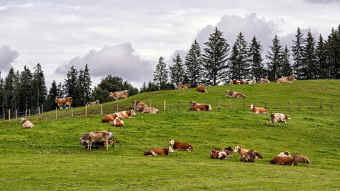 dsc_4860