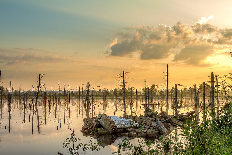 Morgenstimmung im Wurzacher Ried mit kahlen Bäumen und Ruinenresten im Wasser