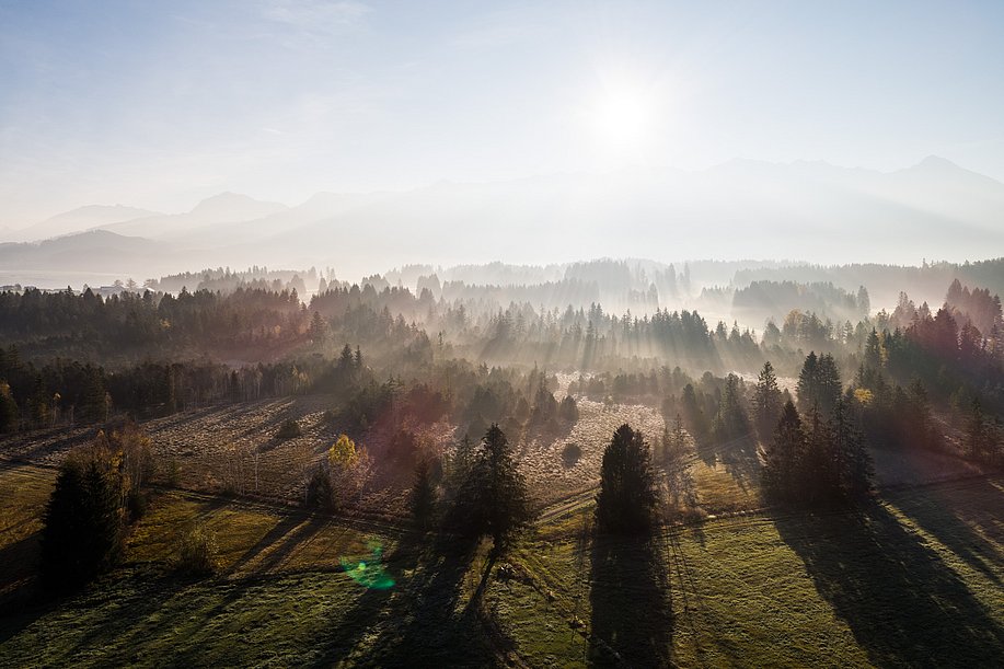 Luftaufnahme vom Tiefenberger Moos mit Wald und Bergen