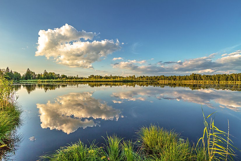 Riedsee im Wurzacher Ried