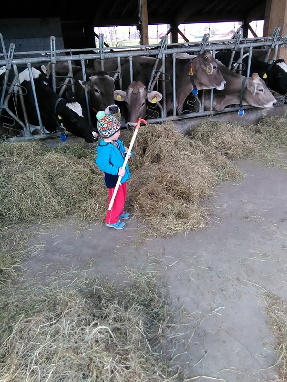 Kleine fleißige helfer im Stall