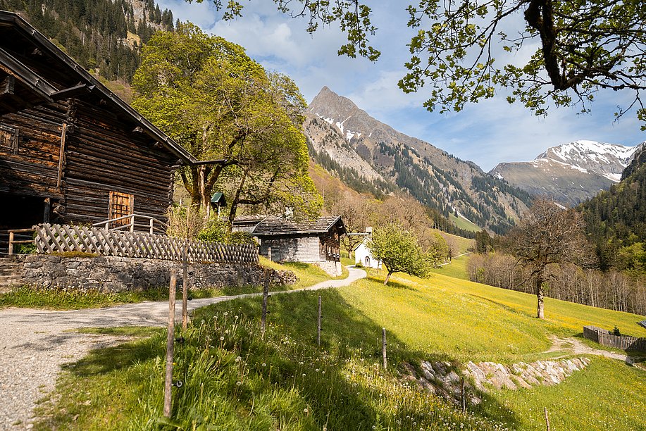 Tradtitioenlle Holzhäuser zwischen Laubbäumen in Gerstruben, im Hintergrund die Allgäuer Alpen