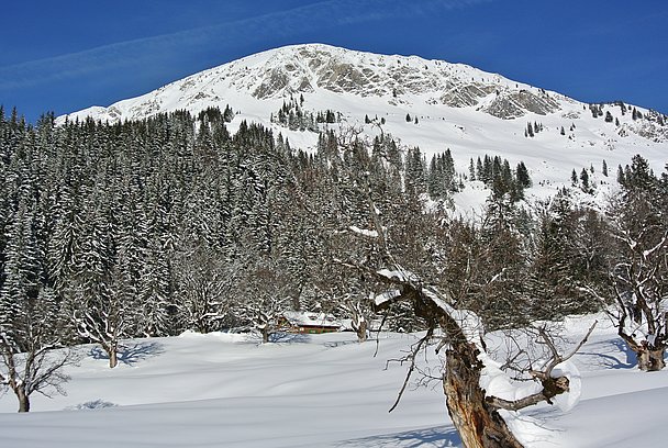 Schwarzenberghütte im sogenannten Paradies, ganzjährig bewirtschaftet